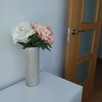 Apartman Doncellas Zamora