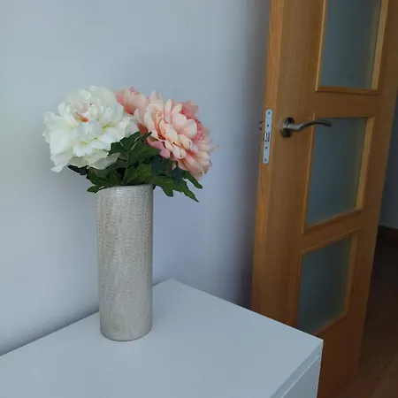 Apartment Doncellas Zamora